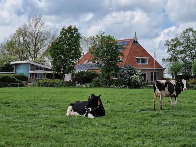 Luxe Gastenverblijf In Het Hart Van Friesland Akkrum Kültér fotó